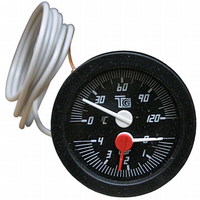 Regulus Thermometers and Pressure Gauges Regulus Thermometers and Pressure Gauges
